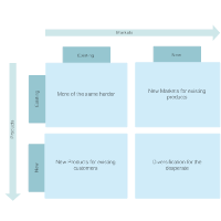 Ansoff Matrix Example