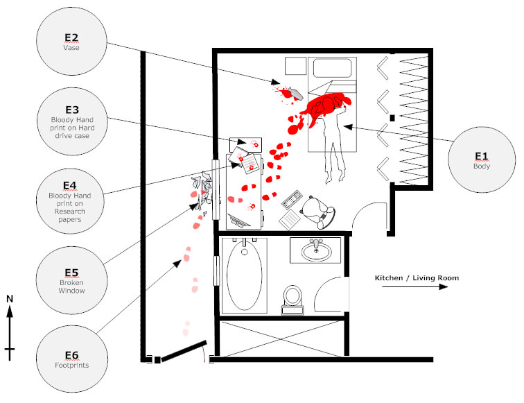 Crime scene diagram example