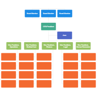 Hospital Organizational Chart