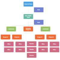 Police Department Organizational Chart