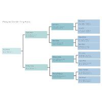 Pedigree Chart Example