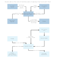 Primary Use and Structure of the Irrevocable Life Insurance Trust and Dynasty Trust